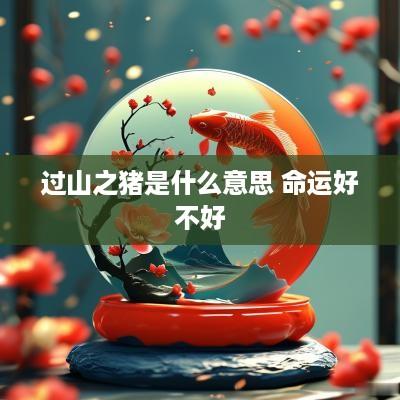 过山之猪是什么意思 命运好不好