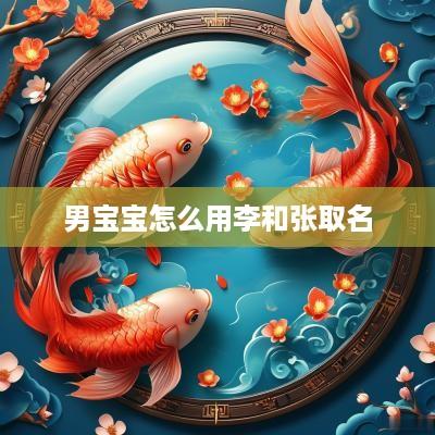 男宝宝怎么用李和张取名