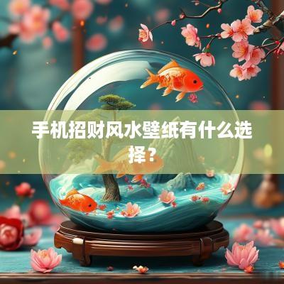 手机招财风水壁纸有什么选择？