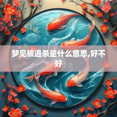 梦见被追杀是什么意思,好不好