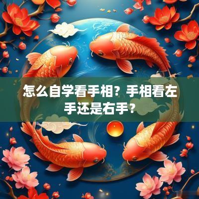 怎么自学看手相？手相看左手还是右手？