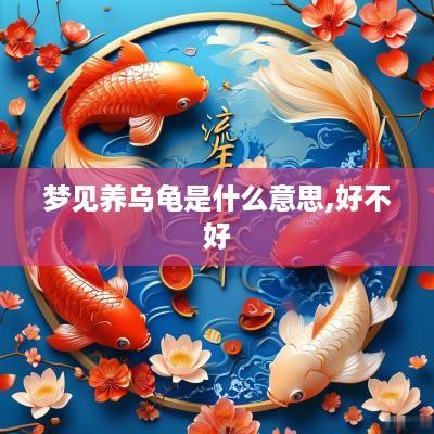 梦见养乌龟是什么意思,好不好