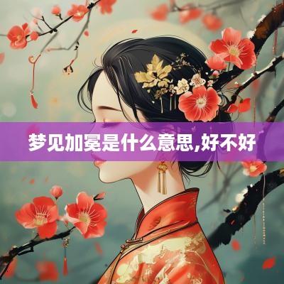 梦见加冕是什么意思,好不好
