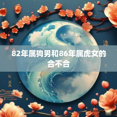 82年属狗男和86年属虎女的合不合
