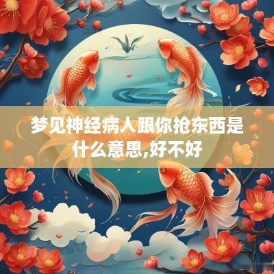 梦见神经病人跟你抢东西是什么意思,好不好