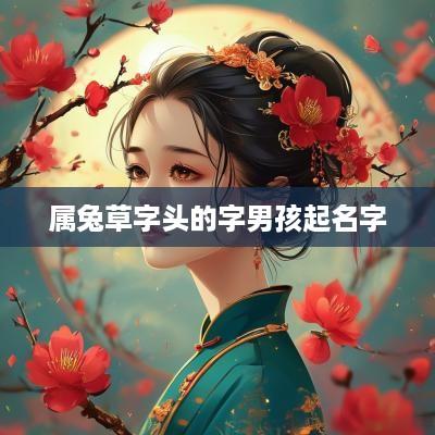 属兔草字头的字男孩起名字
