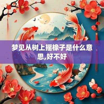 梦见从树上摇橡子是什么意思,好不好
