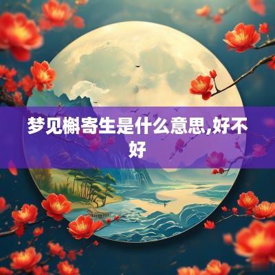 梦见槲寄生是什么意思,好不好