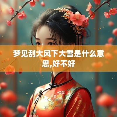 梦见刮大风下大雪是什么意思,好不好