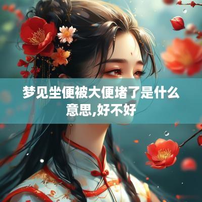 梦见坐便被大便堵了是什么意思,好不好