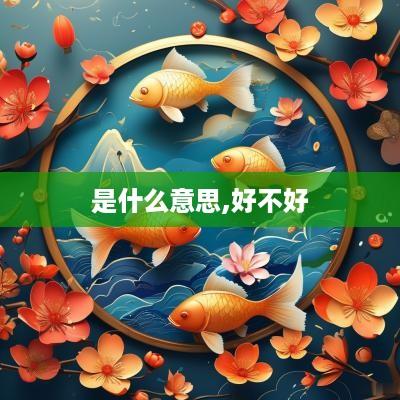 是什么意思,好不好