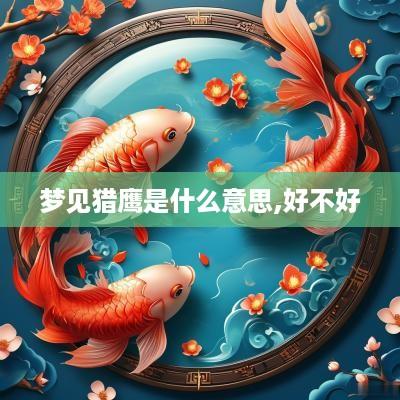 梦见猎鹰是什么意思,好不好