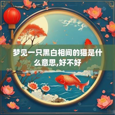 梦见一只黑白相间的猫是什么意思,好不好