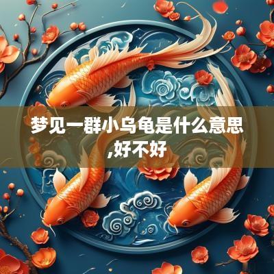 梦见一群小乌龟是什么意思,好不好