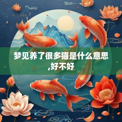 梦见养了很多猫是什么意思,好不好