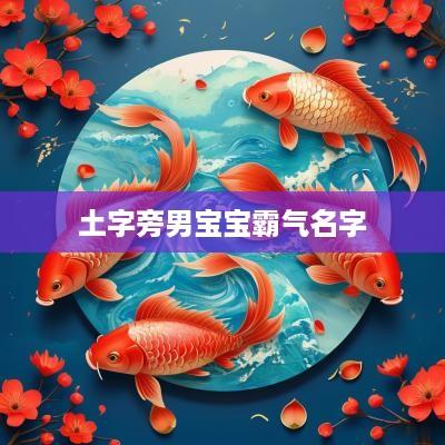 土字旁男宝宝霸气名字
