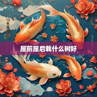 屋前屋后栽什么树好