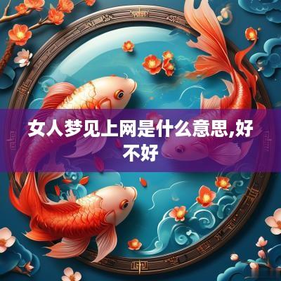 女人梦见上网是什么意思,好不好