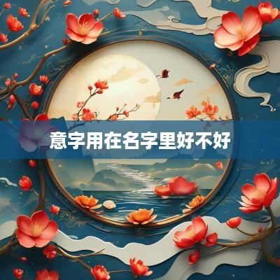 意字用在名字里好不好