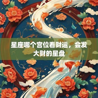 星座哪个宫位看财运，会发大财的星盘