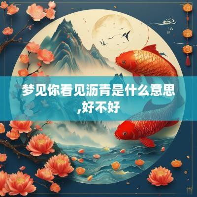 梦见你看见沥青是什么意思,好不好