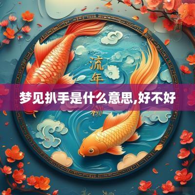 梦见扒手是什么意思,好不好