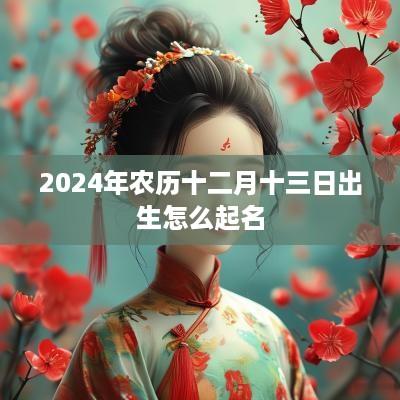 2025年农历十二月十三日出生怎么起名