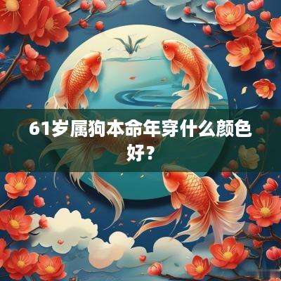 61岁属狗本命年穿什么颜色好？
