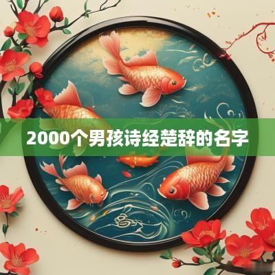 2000个男孩诗经楚辞的名字