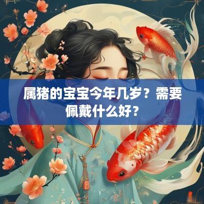 属猪的宝宝今年几岁？需要佩戴什么好？