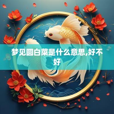 梦见圆白菜是什么意思,好不好