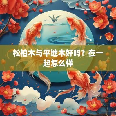 松柏木与平地木好吗？在一起怎么样