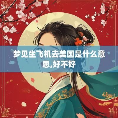 梦见坐飞机去美国是什么意思,好不好