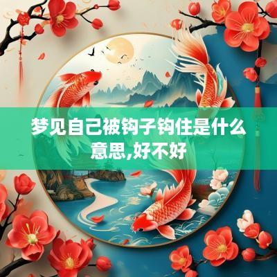 梦见自己被钩子钩住是什么意思,好不好