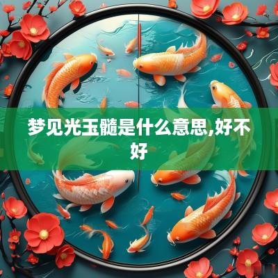 梦见光玉髓是什么意思,好不好
