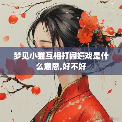 梦见小猫互相打闹嬉戏是什么意思,好不好