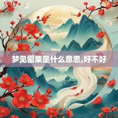梦见罂粟是什么意思,好不好