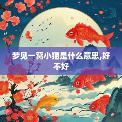 梦见一窝小猫是什么意思,好不好