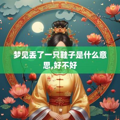 梦见丢了一只鞋子是什么意思,好不好