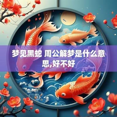 梦见黑蛇 周公解梦是什么意思,好不好