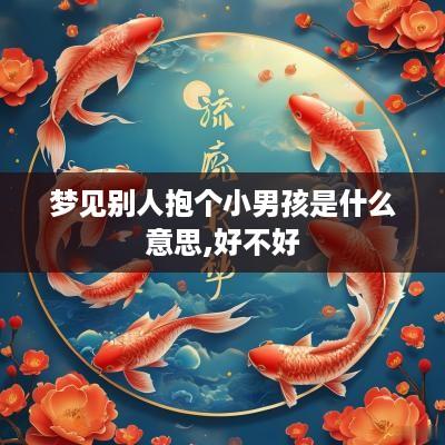 梦见别人抱个小男孩是什么意思,好不好
