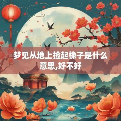 梦见从地上捡起橡子是什么意思,好不好