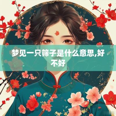 梦见一只筛子是什么意思,好不好