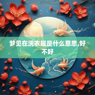 梦见在洗衣服是什么意思,好不好