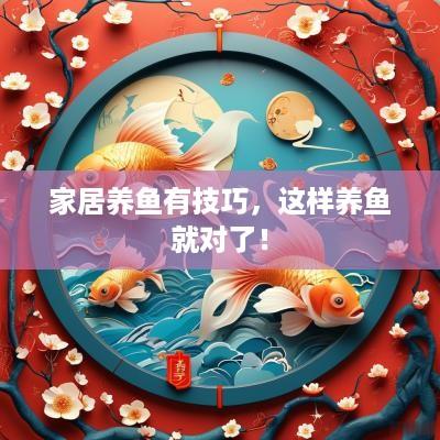 家居养鱼有技巧，这样养鱼就对了！