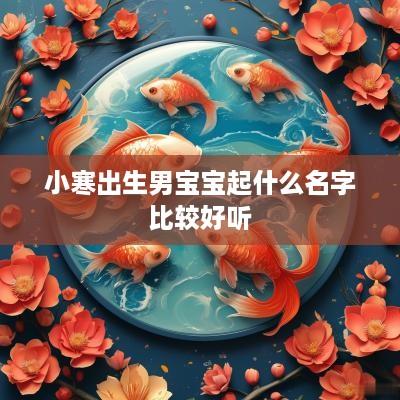 小寒出生男宝宝起什么名字比较好听