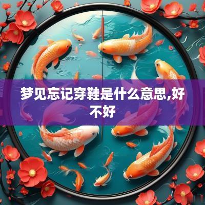 梦见忘记穿鞋是什么意思,好不好