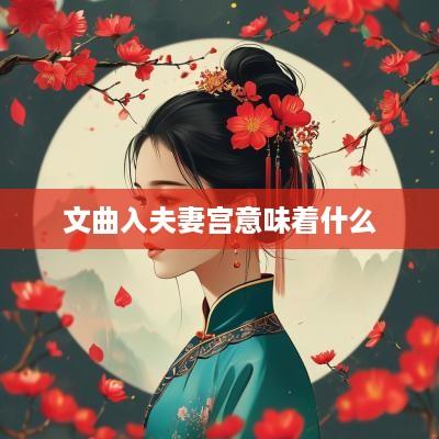 文曲入夫妻宫意味着什么