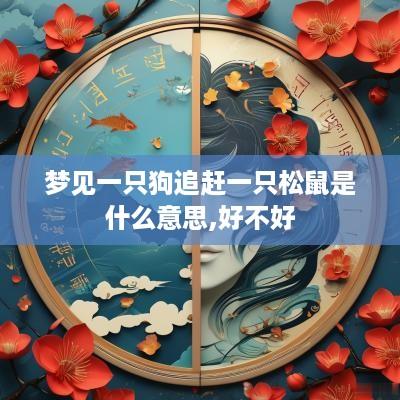 梦见一只狗追赶一只松鼠是什么意思,好不好