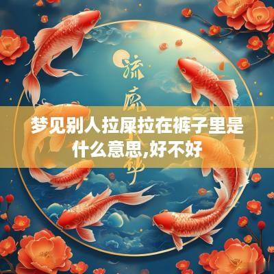 梦见别人拉屎拉在裤子里是什么意思,好不好